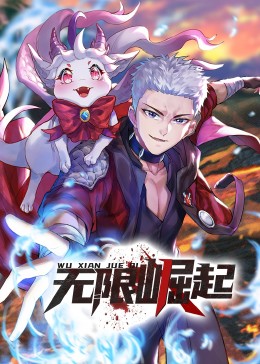 辛集seo优化推广价格